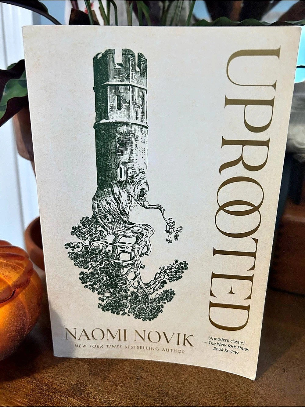 Uprooted by Naomi Novik Paperback